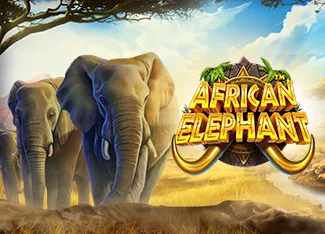 Pragmatic : African Elephant - GOODGAMING138